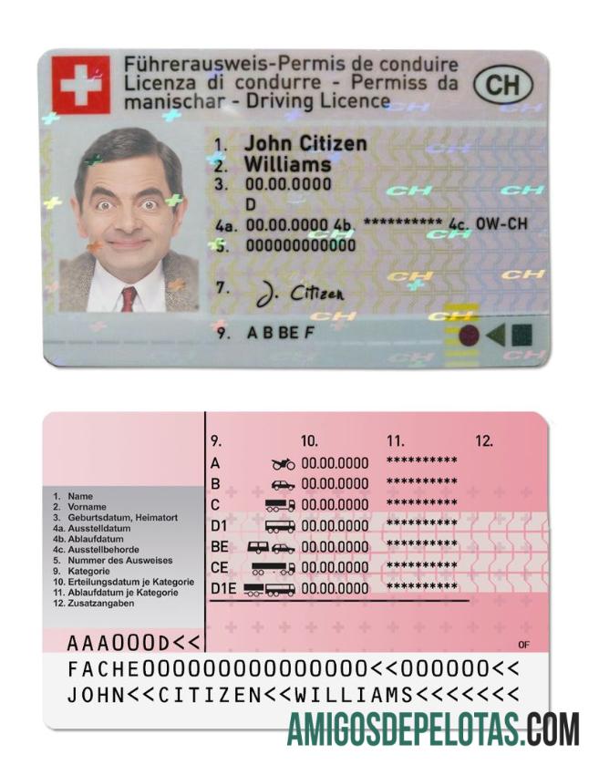 Carta de condução na Suíça exemplo real